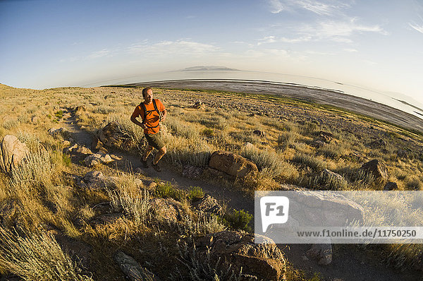 Männlicher Trailrunner auf dem Lakeside Trail  Antelope Island State Park  Utah  USA