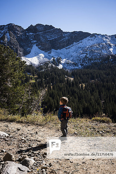 Toddler hiking  Catherine's Pass Trail  Albion Basin  Alta  Utah  USA