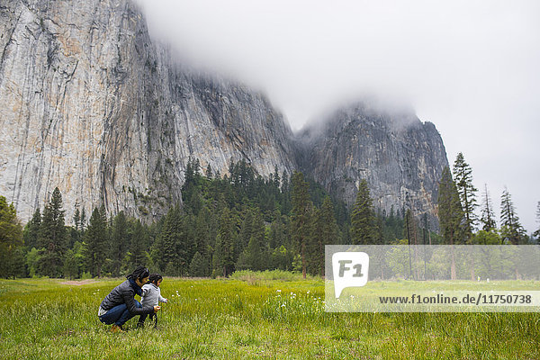 Mid adult woman crouching with toddler daughter in meadow  Yosemite National Park  California  USA