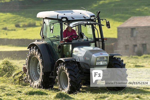Turning grass in a traditional hay meadow  with a Hurlimann tractor and tedder  Swaledale  Yorkshire Dales National Park  UK. (Photo by: Wayne Hutchinson/Farm Images/UIG)