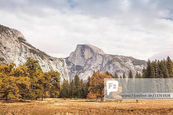 Herbstfarbene Landschaft und Berge  Yosemite National Park  Kalifornien  USA