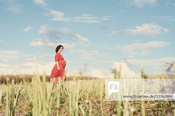 Schwangere Frau beim Spaziergang im Weizenfeld