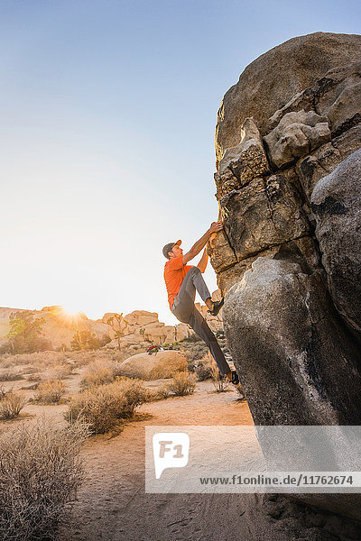 Male boulderer moving up boulder in Joshua Tree National Park at dusk California USA