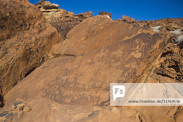Antike Felsgravuren  Twyfelfontein  UNESCO-Weltkulturerbe  Namibia  Afrika