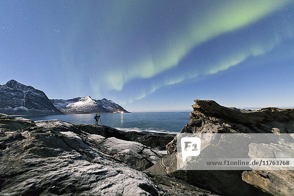 Photographer under the stars and Northern Lights (aurora borealis) surrounded by rocky peaks and icy sea  Tungeneset  Senja  Troms  Norway  Scandinavia  Europe