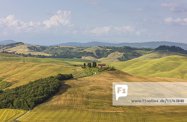 Grüne sanfte Hügel und Bauernhäuser in Crete Senesi (Senese Clays)  Provinz Siena  Toskana  Italien  Europa