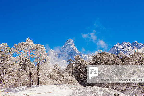 Gipfel des Mount Everest mit schneebedecktem Wald  Himalaya  Nepal  Asien
