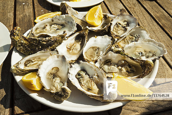 Austern (huitres) zum Verzehr bereit  Tausende von Tonnen der Schalentiere werden hier jährlich gezüchtet  Ile de Re  Charente-Maritime  Frankreich  Europa