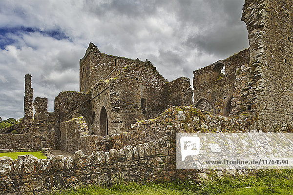 Die Ruinen von Hore Abbey  in der Nähe der Ruinen des Rock of Cashel  Cashel  County Tipperary  Munster  Republik Irland  Europa