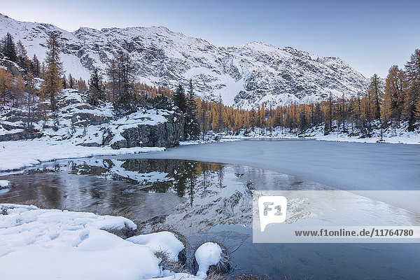 The snowy peaks are reflected in the frozen Lake Mufule Malenco Valley Province of Sondrio Valtellina Lombardy Italy Europe