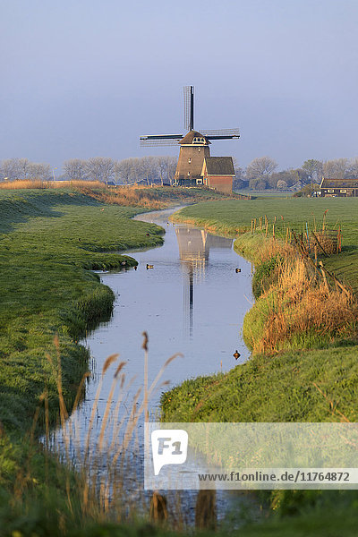 Typical windmill reflected in the canal at dawn  Berkmeer  municipality of Koggenland  North Holland  The Netherlands  Europe