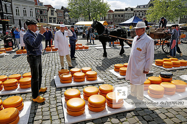 Cheese Market in Gouda  South Holland  Netherlands  Europe