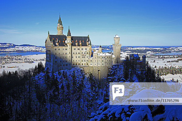 Schloss Neuschwanstein bei Schwangau  Allgäu  Bayern  Deutschland  Europa
