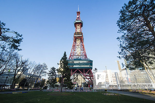 TV tower in downtown Sapporo  Odori Park  Hokkaido  Japan  Asia