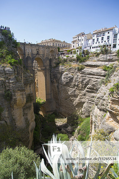 Blick auf Ronda und Puente Nuevo von Jardines De Cuenca  Ronda  Andalusien  Spanien  Europa