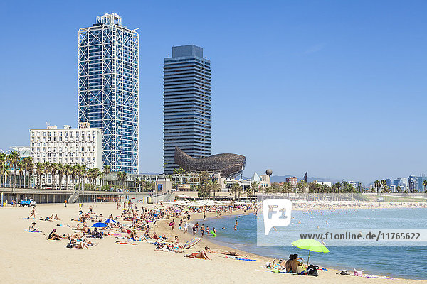 Menschen beim Sonnenbaden am Strand von Barcelona  Barceloneta  Barcelona  Katalonien (Catalunya)  Spanien  Europa