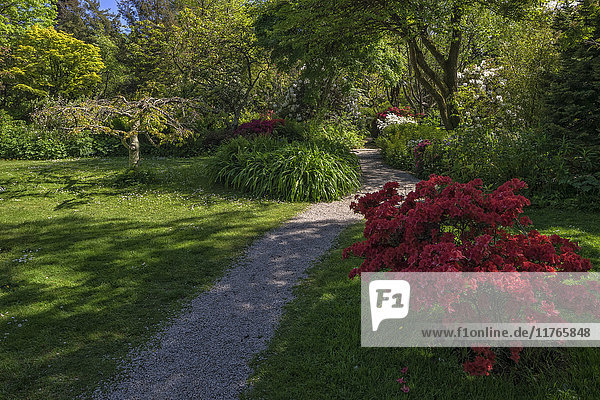 Mount Usher Gardens  Grafschaft Wicklow  Leinster  Republik Irland  Europa