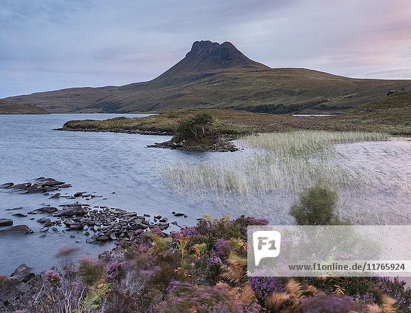 Wunderschöne Farben des Heidekrauts in der Morgendämmerung am Ufer des Loch Lurgainn  Ross und Cromarty  Highlands  Schottland  Vereinigtes Königreich  Europa