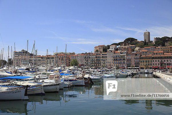 Hafen  Le Suquet  Altstadt  Cannes  Alpes Maritimes  Côte d'Azur  Provence  Côte d'Azur  Frankreich  Mittelmeer  Europa