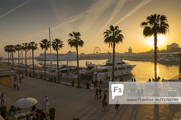 Sonnenuntergang über dem Yachthafen von Malaga  Malaga  Costa del Sol  Andalusien  Spanien  Europa