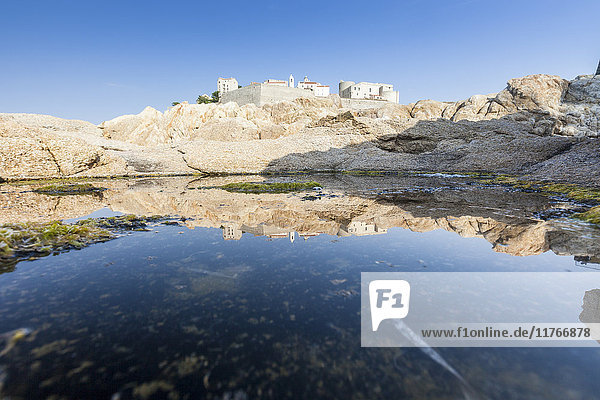 Die alte befestigte Zitadelle spiegelt sich im blauen Meer  Calvi  Region Balagne  Korsika  Frankreich  Mittelmeer  Europa