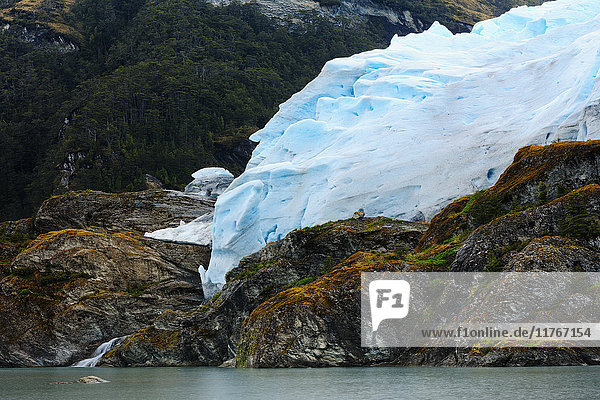 Ein Gletscher in der Darwin-Gebirgskette  Alberto de Agostini-Nationalpark  Feuerland  Patagonien  Chile  Südamerika