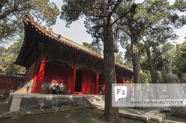 Konfuzius-Wald und -Friedhof  Qufu  UNESCO-Welterbestätte  Provinz Shandong  China  Asien