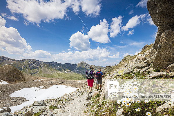 Wanderer umgeben von felsigen Gipfeln und blühenden Gänseblümchen  Joriseen  Jorifless Pass  Kanton Graubünden  Engadin  Schweiz  Europa
