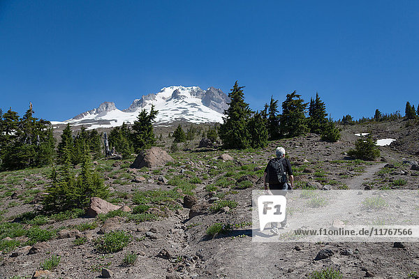 Wanderin auf einem Wanderweg am Mount Hood  Teil der Cascade Range  Region Pazifischer Nordwesten  Oregon  Vereinigte Staaten von Amerika  Nordamerika