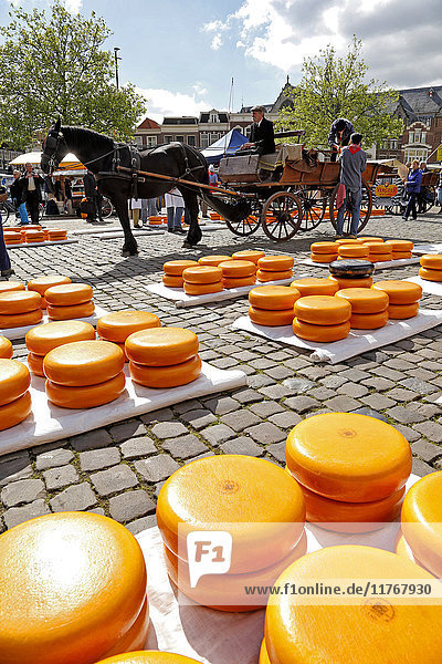 Käsemarkt in Gouda  Südholland  Niederlande  Europa