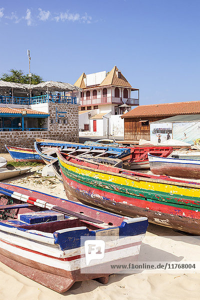 Colourful traditional local fishing boats on the beach at Santa Maria  Praia da Santa Maria  Sal Island  Cape Verde  Atlantic  Africa