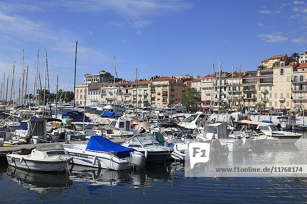 Harbor  Le Suquet  Old Town  Cannes  Alpes Maritimes  Cote d'Azur  Provence  French Riviera  France  Mediterranean  Europe
