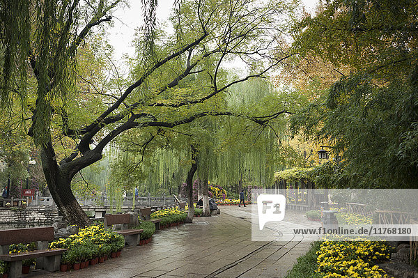 Baotu Spring Park  Jinan  Provinz Shandong  China  Asien