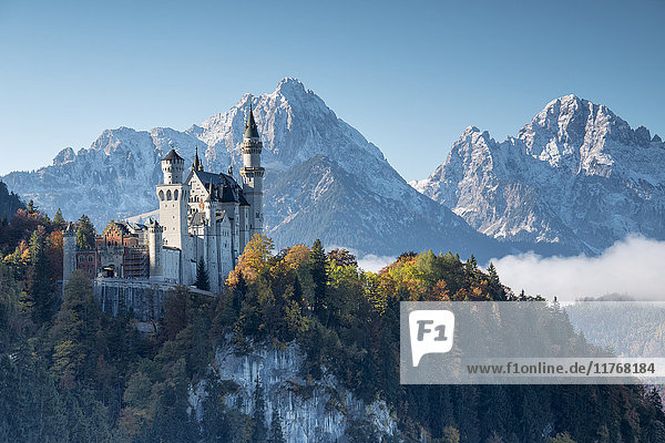 Schloss Neuschwanstein  umgeben von bunten Wäldern und verschneiten Gipfeln  Füssen  Bayern  Deutschland  Europa