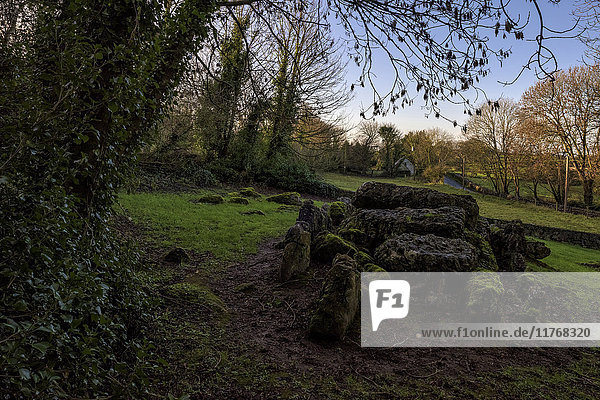 Lough Gur  Grab des Riesen  Grafschaft Limerick  Munster  Republik Irland  Europa