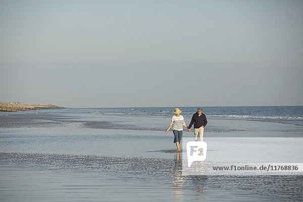 Mature couple holding hands walking in sunny ocean beach surf