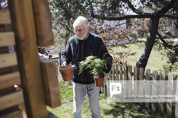 Senior man holding potted plants standing in yard on sunny day