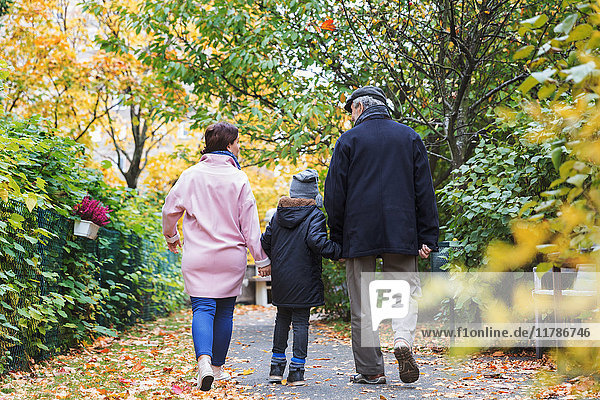 Durchgehende Rückansicht des Jungen  der im Herbst mit Urgroßvater und Mutter im Park spazieren geht.