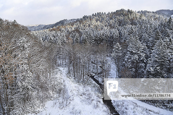 Snowy mountainscape in Hokkaido  Japan