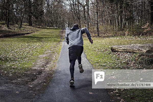 Durchgehende Rückansicht des entschlossenen Athleten beim Joggen auf der schmalen Straße im Wald