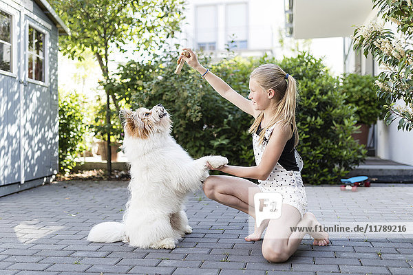 Mädchen spielt mit Hund im Hof