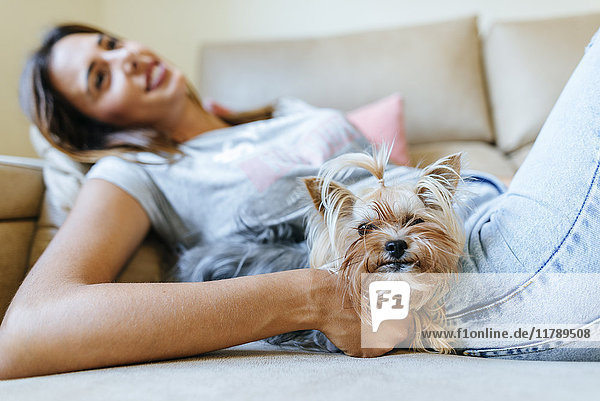 Porträt eines Yorkshire Terriers auf der Couch mit Besitzerin