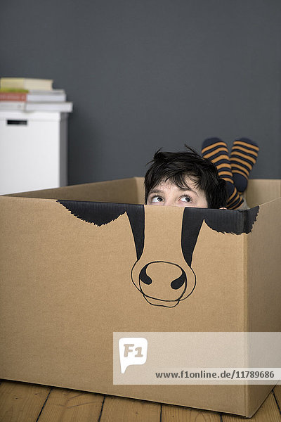 Junge in einem mit einer Kuh bemalten Pappkarton