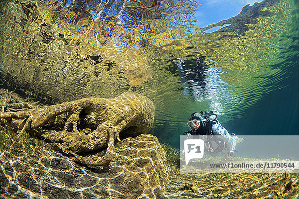 Austria  Tyrol  Lake Fernsteinsee  tree under water with a diver
