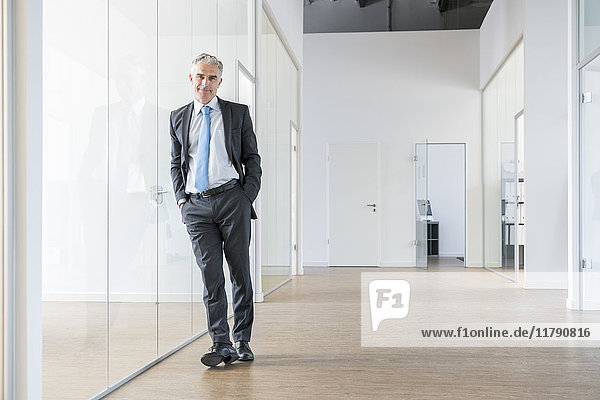 Mature businessman standing in office