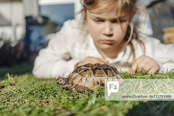 Mädchen schaut auf Schildkröte im Garten