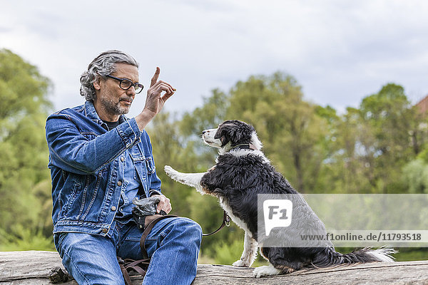 Senior man teaching his dog