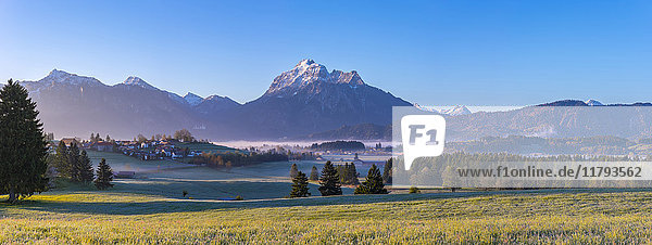 Deutschland  Bayern  Ammergauer Alpenpanorama am Morgen