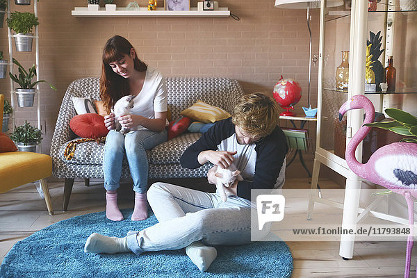 Junges Paar mit Kätzchen im Wohnzimmer