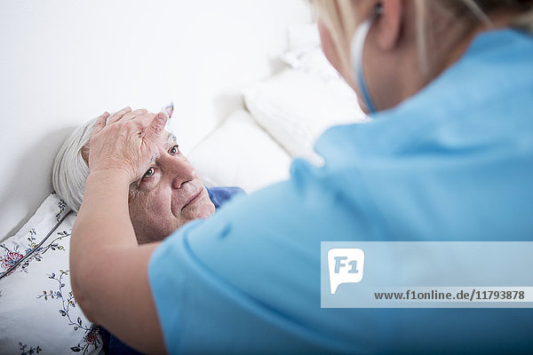 Gereatric Krankenschwester fühlt sich krank Patienten Stirn